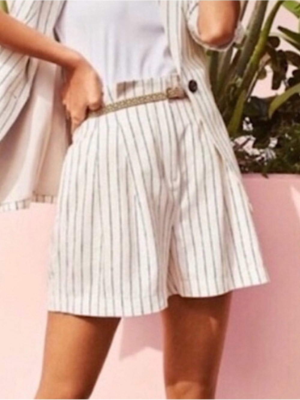 Ann Taylor Pinstripe High wasted Shorts